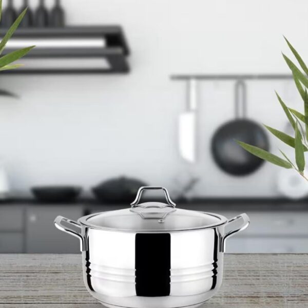Lines Oscar Metal Kulp Cam Kapak Derin Çelik Tencere - 30 Cm