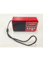 Everton RT-303BT Şarjlı Dijital Göstergeli FM Radyolu Bluetooth Hoparlör - Görsel 2