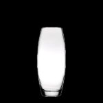 Paşabahçe 43966 Botanica Vazo 260 MM