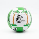 Voleybol Topu Antrenman ve Maç Topu Yeşil Desenli
