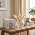 La Cuppa 800 Vira Dekoratif Minimalist Tasarım Vazo - Görsel 4